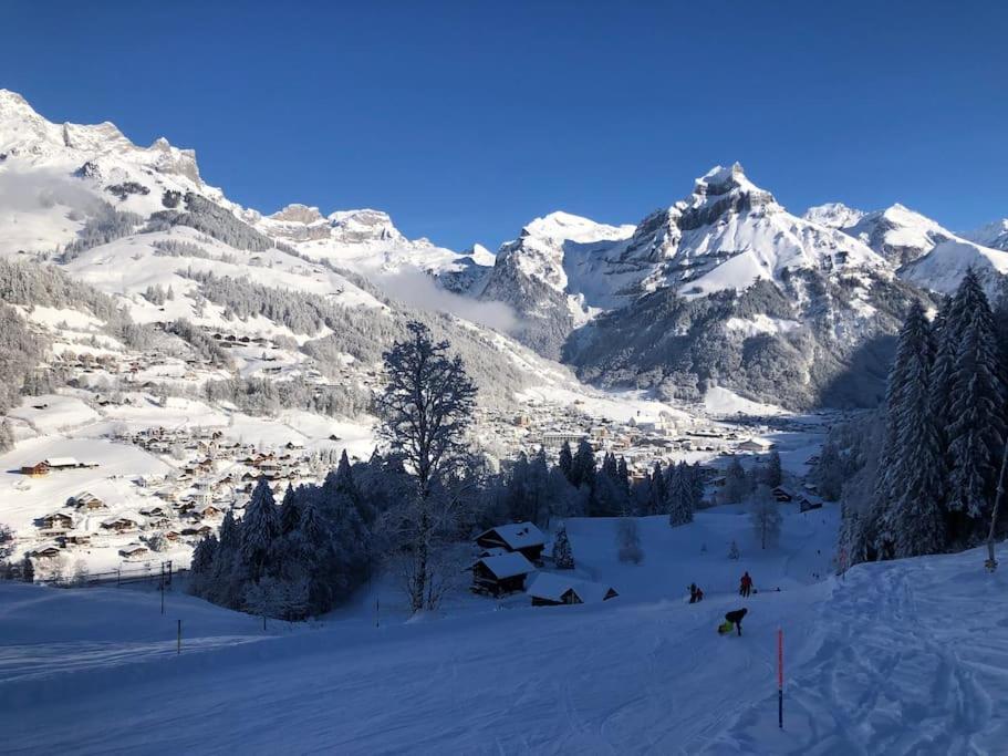 Titlis Appartement *